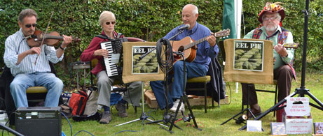 Eel Pie Band