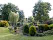 A view of the garden