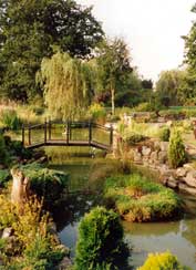 Etang et rocaille
