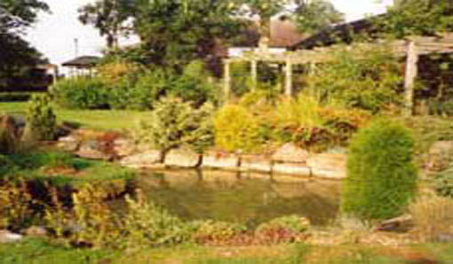 another view of the pond and rockery