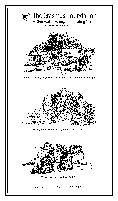 Tea towel