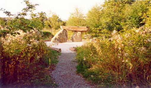 Dolman in the wild garden