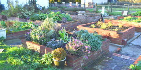 Herb beds