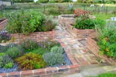 The herb garden