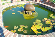 Pond in the herb garden