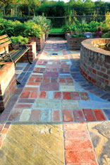 Path in the herb garden