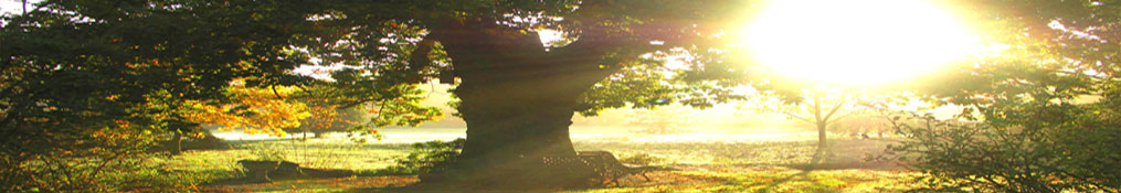 audience of people at a meeting