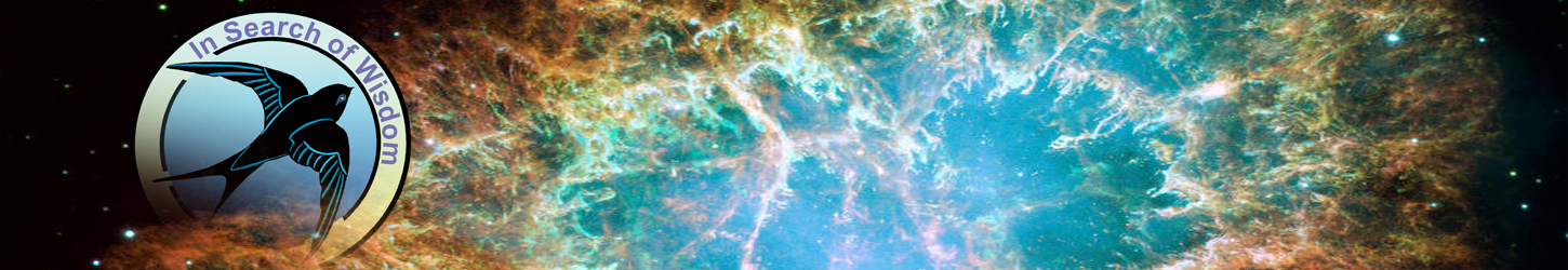 Erasmus logo on background of the Universe