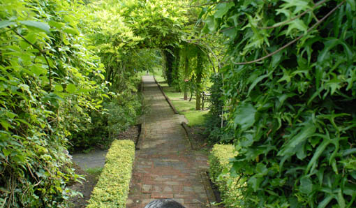 view under the pergola