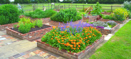 The Herb Garden