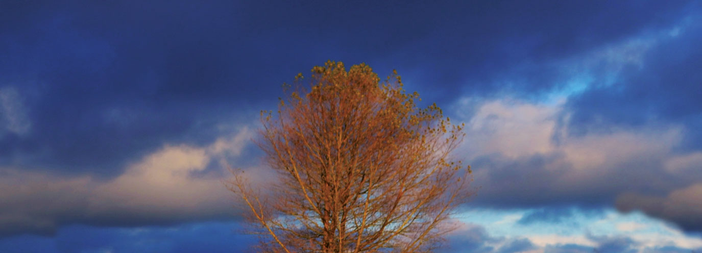 The Erasmus Foundation entrance