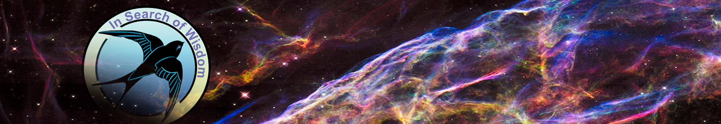 Picture of the Universe