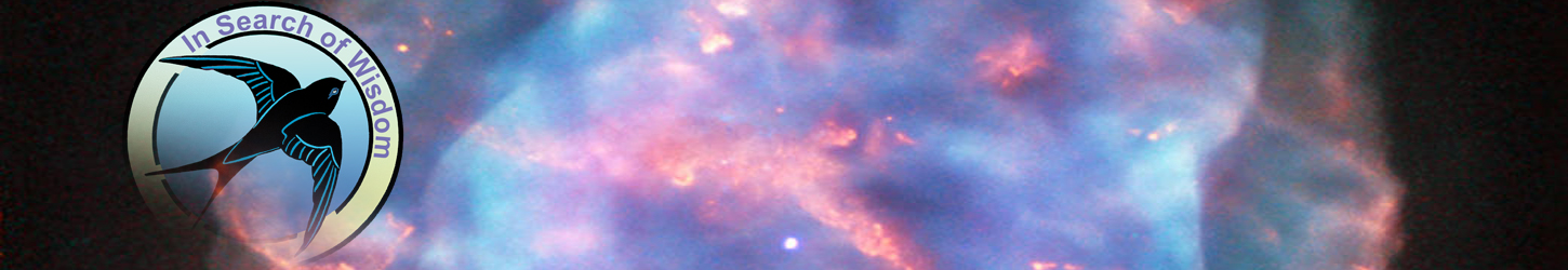 Picture of the Universe